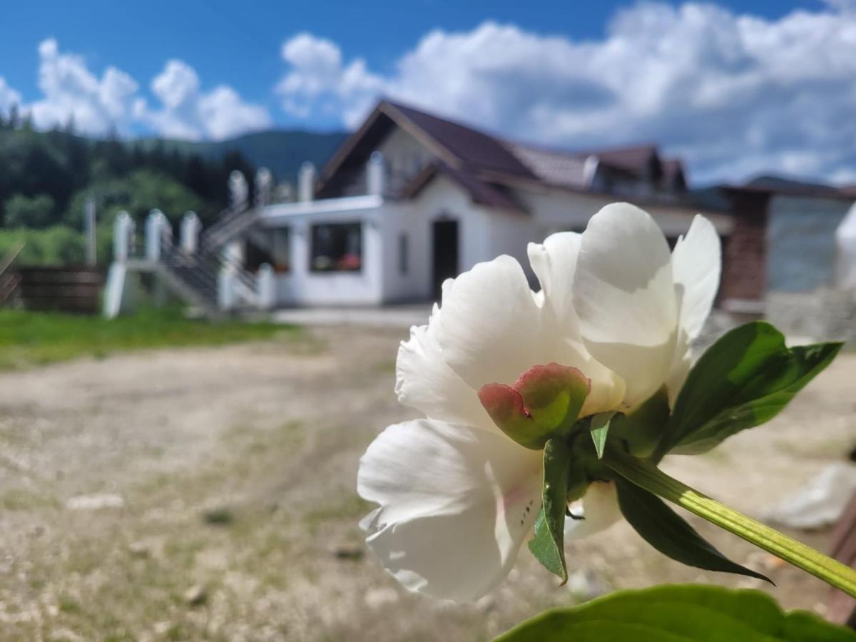 Poarta Zaganului Cheia Hotel Cheia  Exterior foto